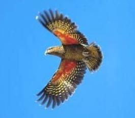 Kea Kingdom